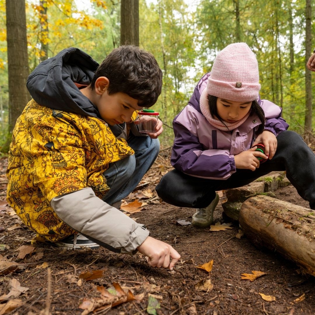 Alternative Text missing