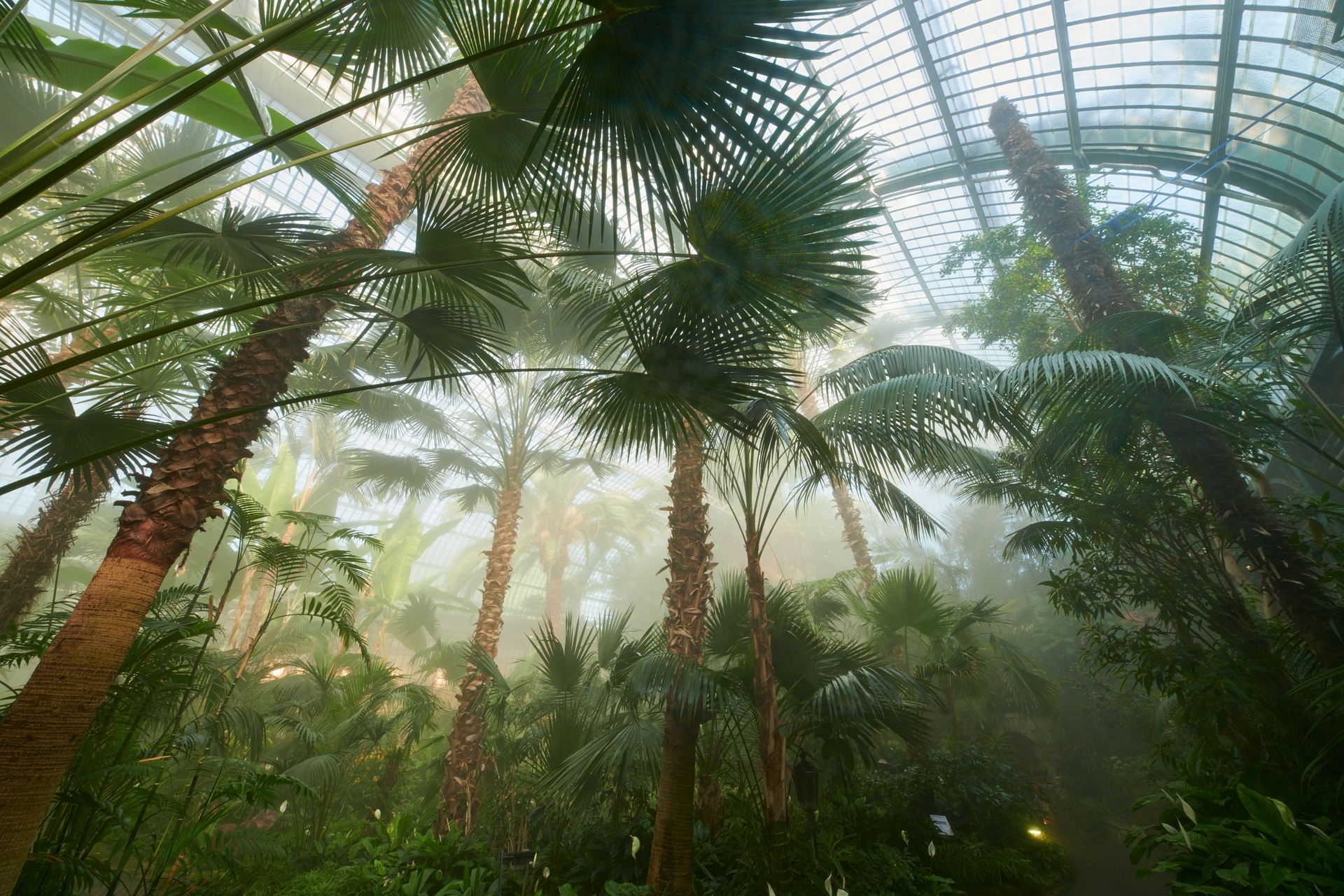 Das Palmenhaus des Palmengartens der Stadt Frankfurt am Main.