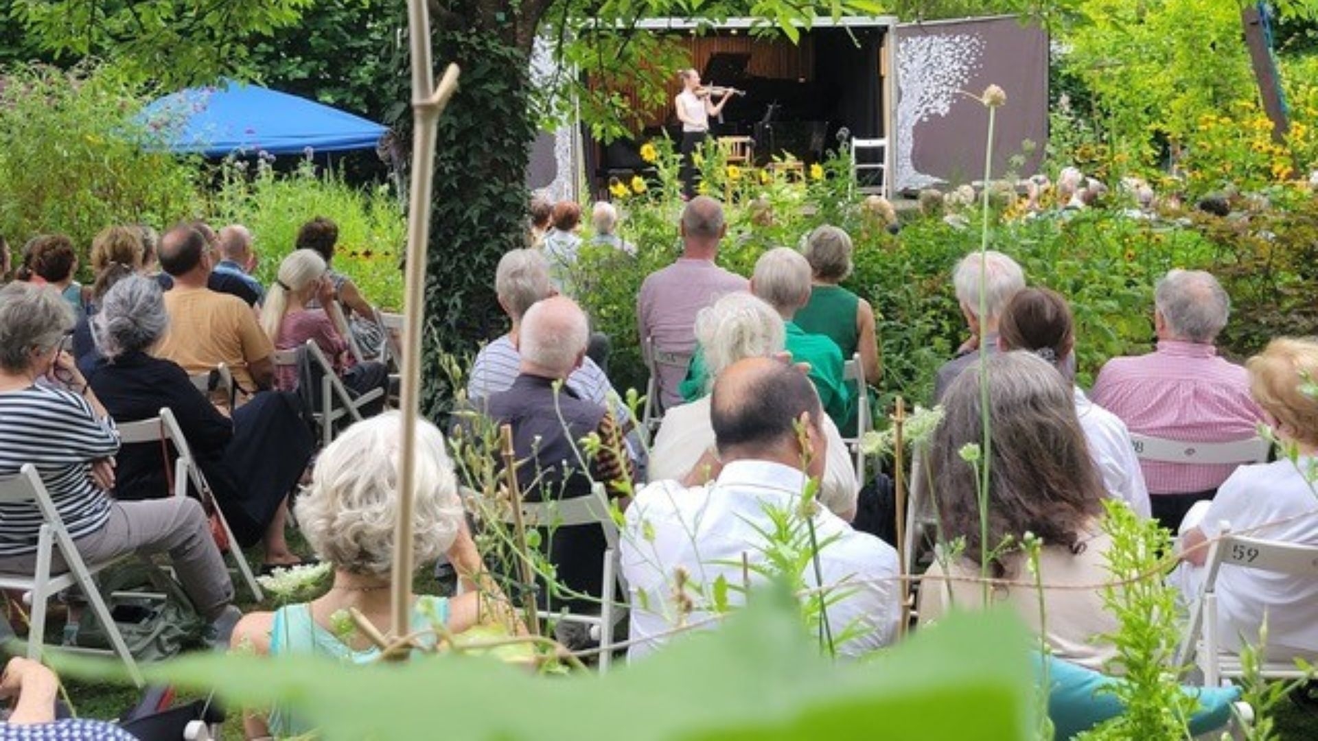 Alternative Text missing